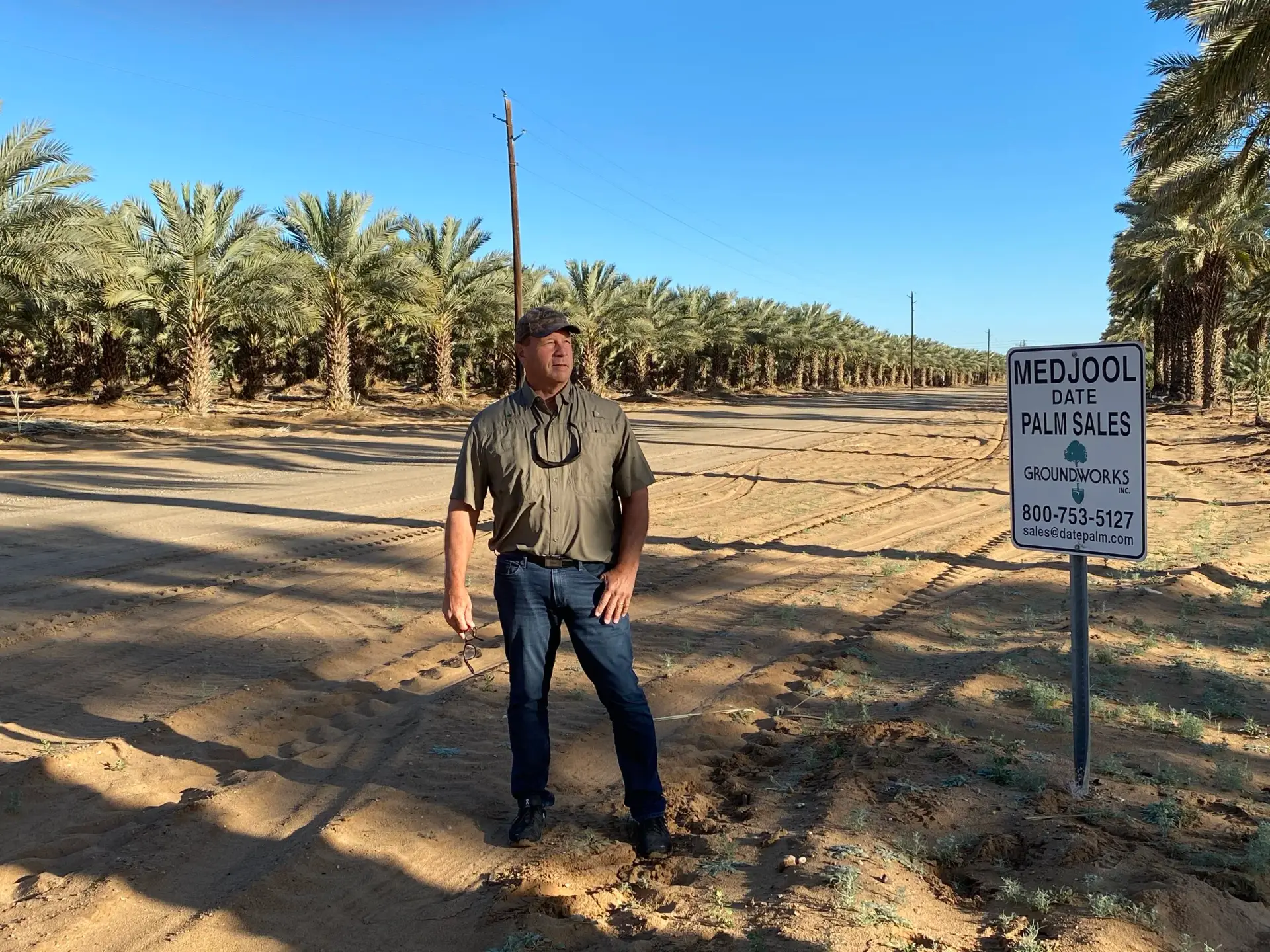 George Nottingham in a Medjool Date Palm production grove