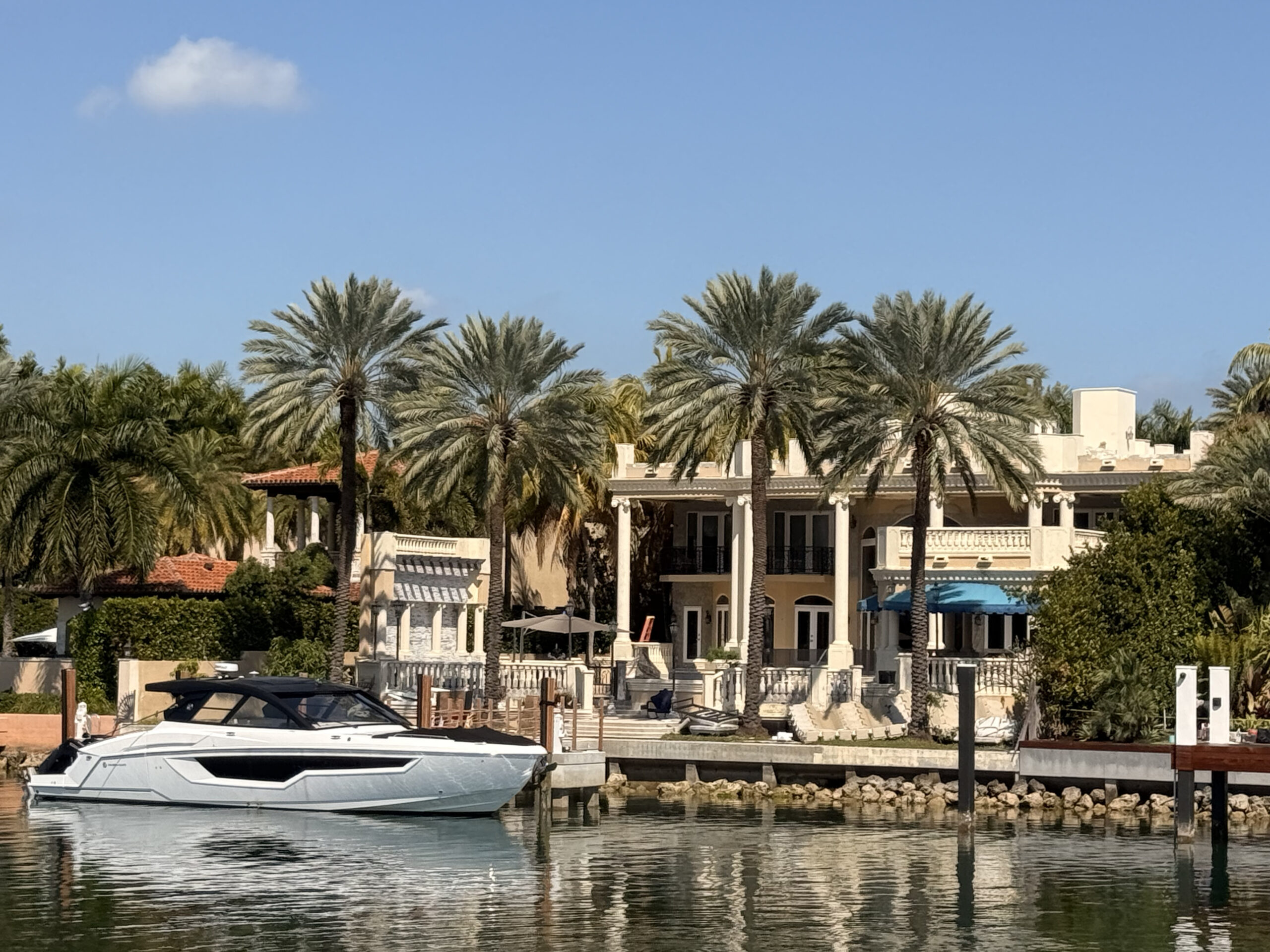 Long-established Medjool palms at a waterfront mansion