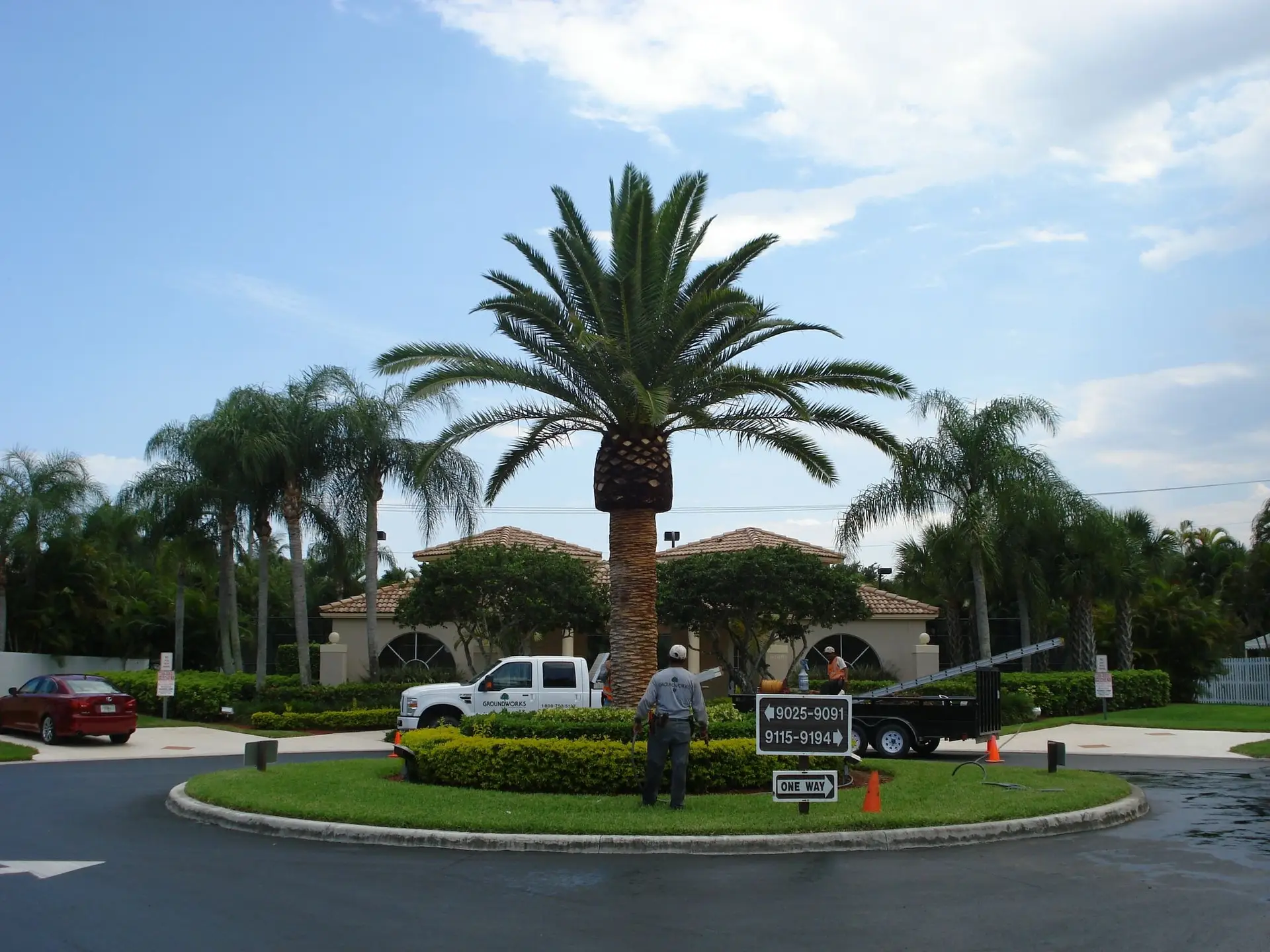 Active palm installation at a shared landscape site