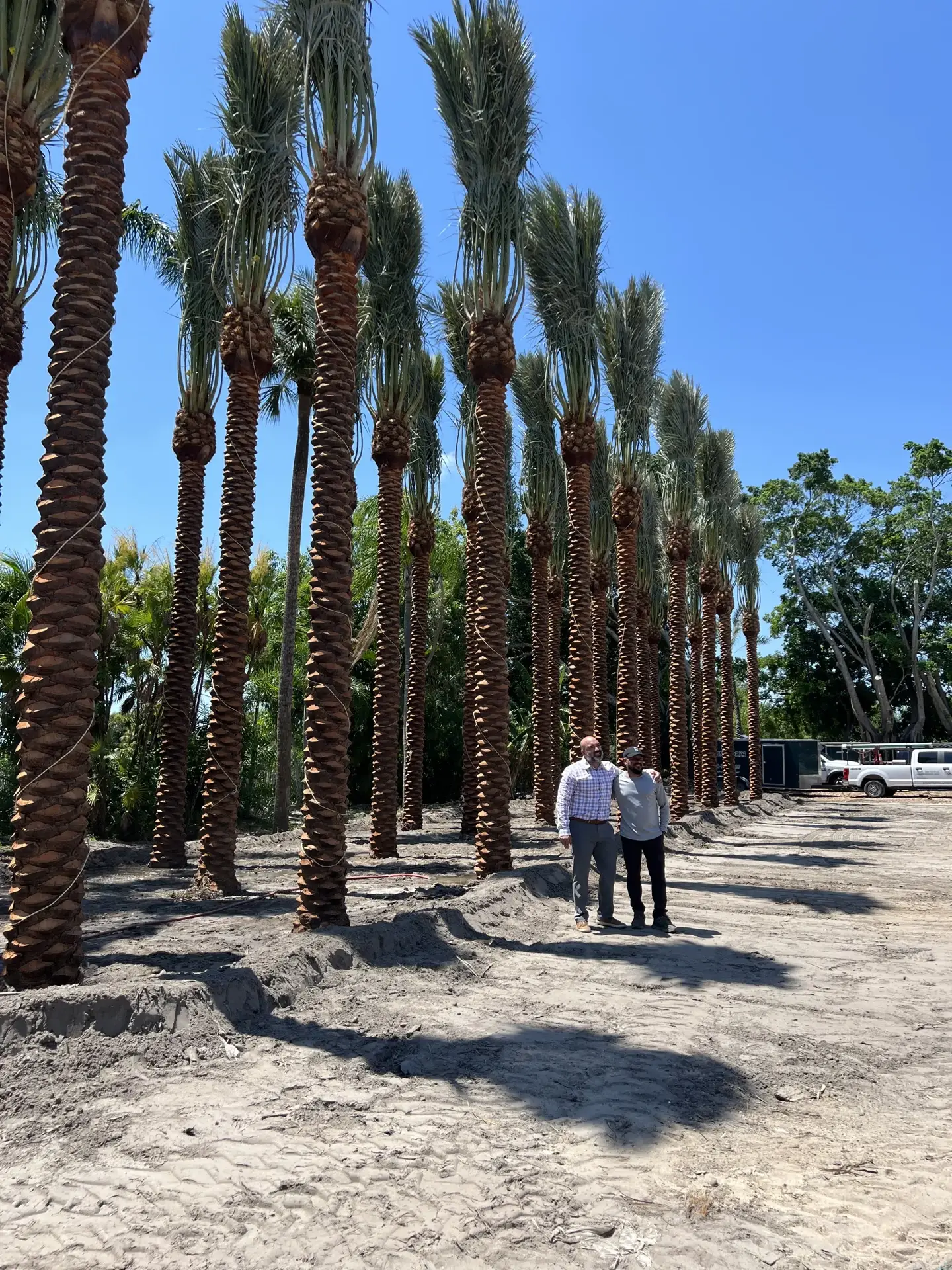 People beside tall specimen palms during a field visit.